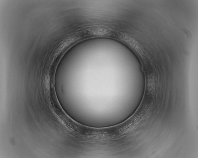X0000111370626200907101212