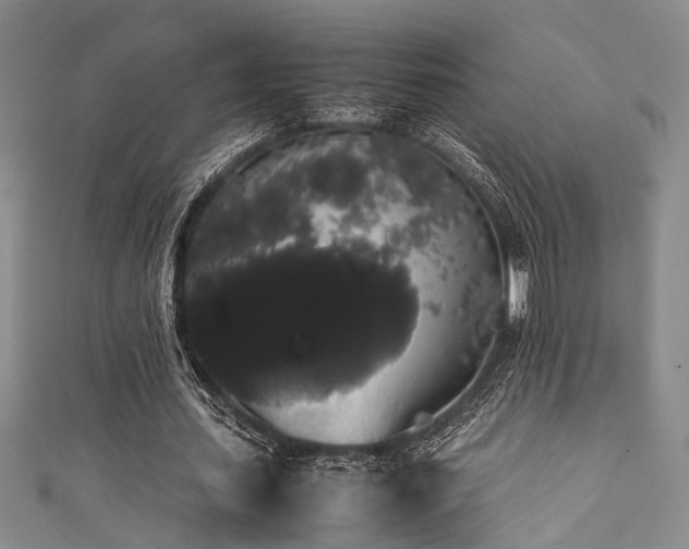 X0000111370627200907101212