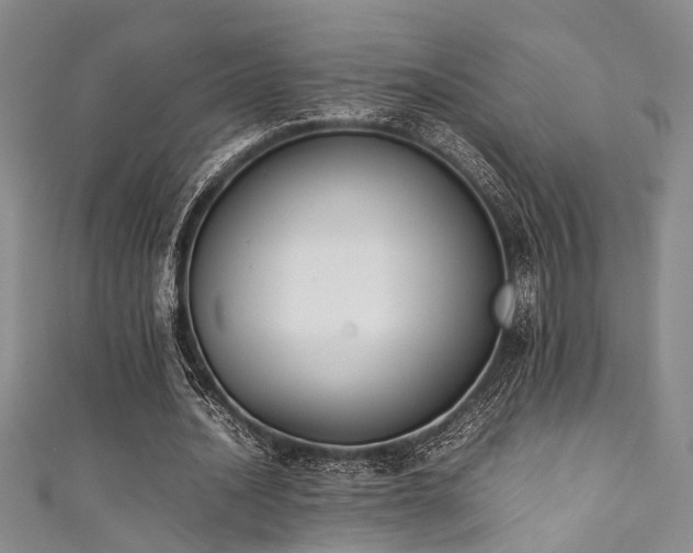X0000111370628200907101212