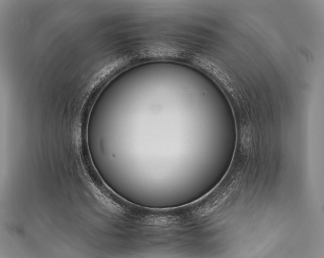 X0000111370629200907101212