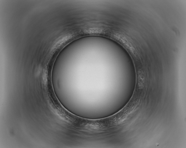 X0000111370631200907101212