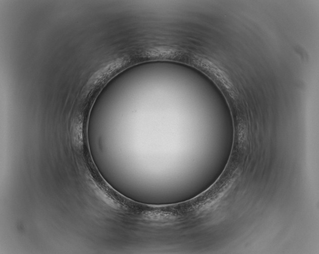 X0000111370633200907101212