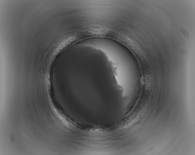 X0000111370634200907101212