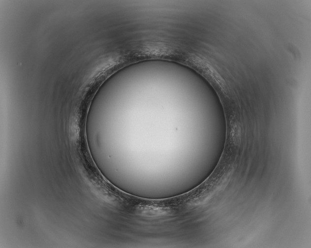 X0000111370635200907101212