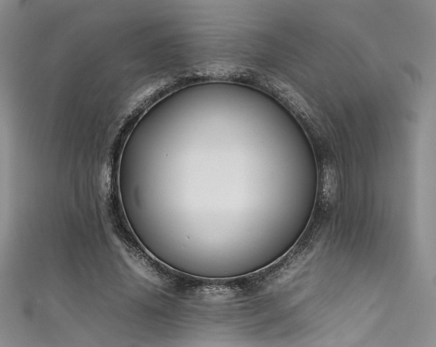 X0000111370636200907101212