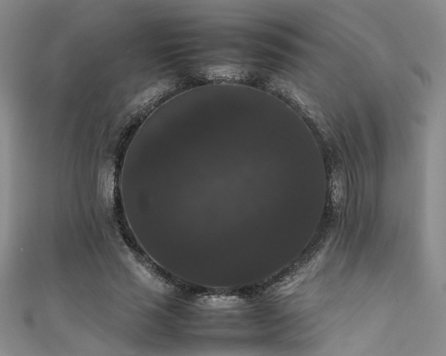 X0000111370637200907101212