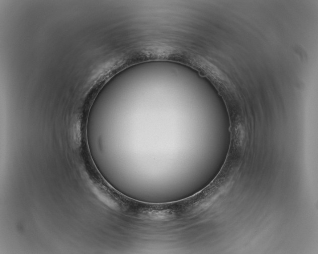 X0000111370638200907101212