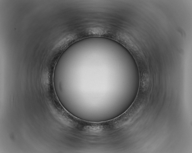 X0000111370639200907101212