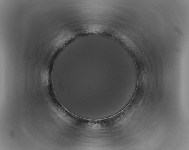 X0000111370640200907101212