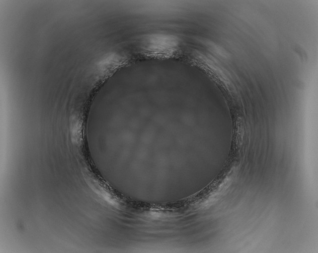 X0000111370641200907101212
