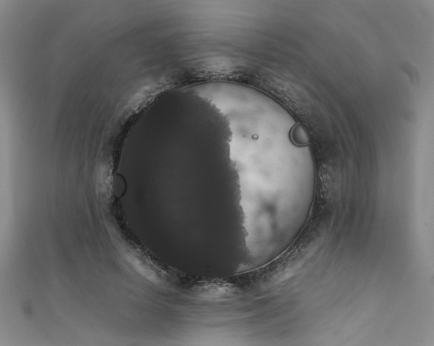 X0000111370642200907101212