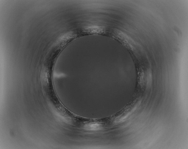 X0000111370643200907101212