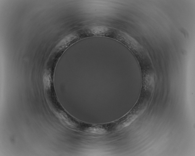X0000111370644200907101212