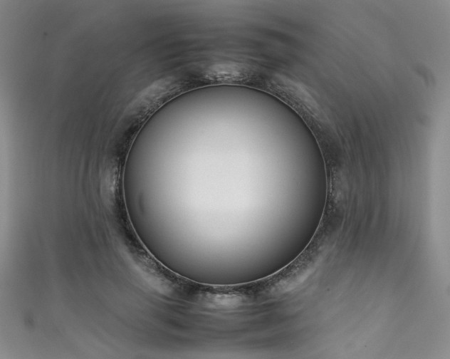 X0000111370645200907101212
