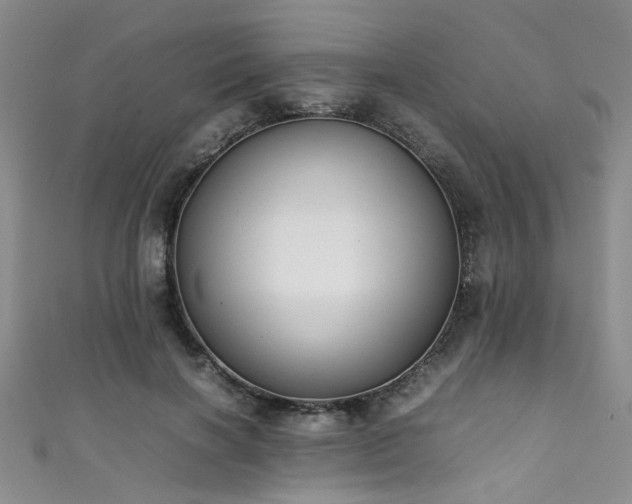 X0000111370646200907101212