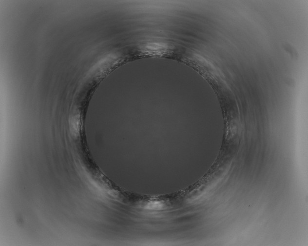 X0000111370647200907101212