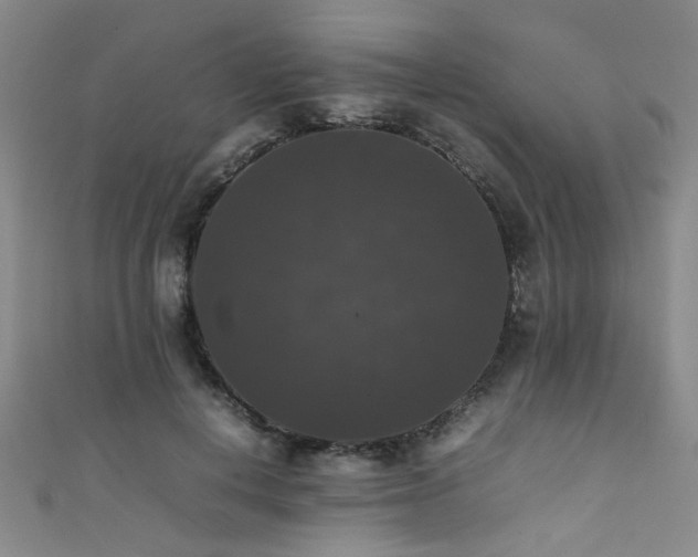 X0000111370648200907101212