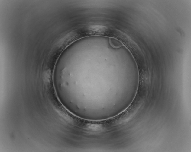 X0000111370649200907101212