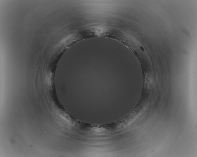 X0000111370650200907101212