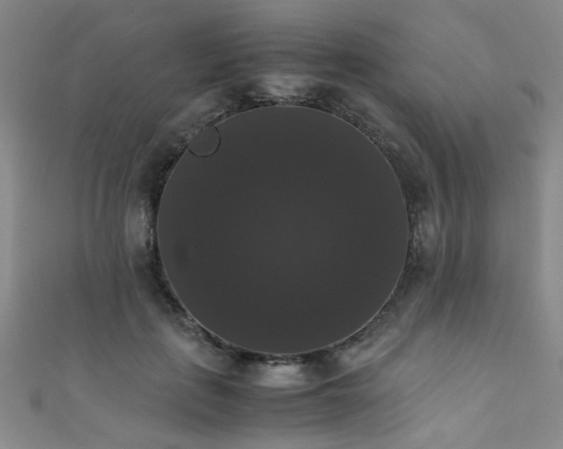 X0000111370651200907101212