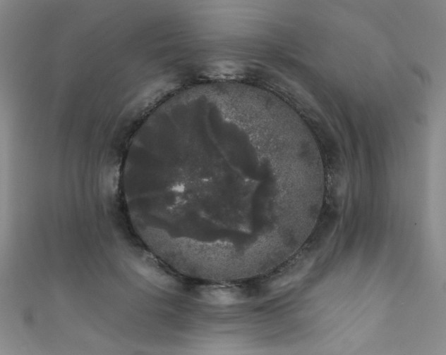 X0000111370652200907101212