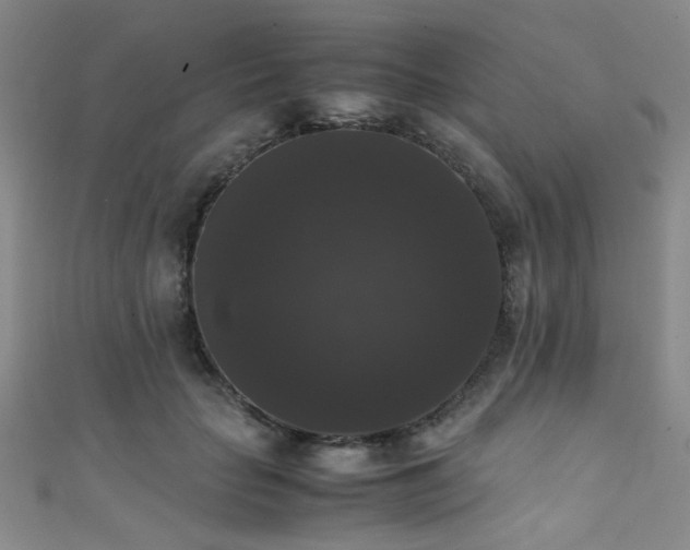 X0000111370653200907101212