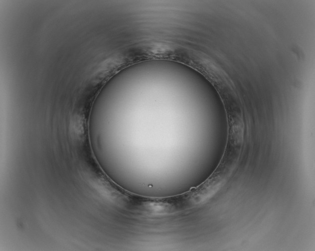 X0000111370654200907101212