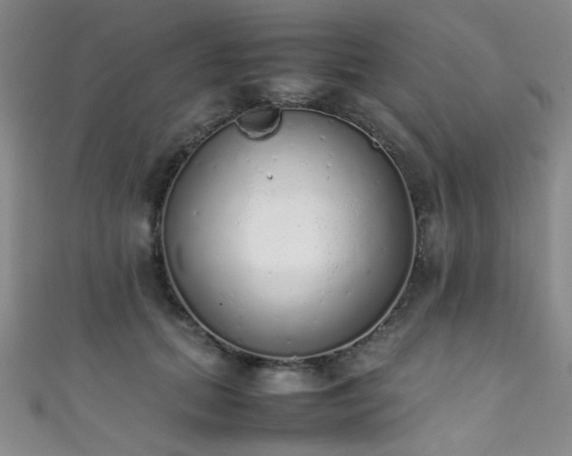X0000111370655200907101212