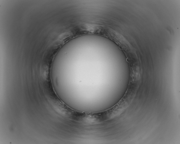 X0000111370656200907101212