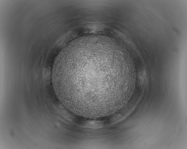 X0000111370657200907101212