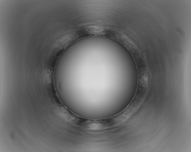 X0000111370658200907101212
