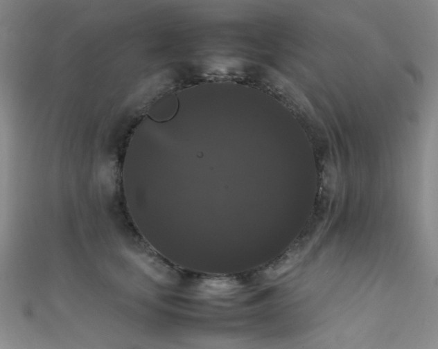 X0000111370659200907101212