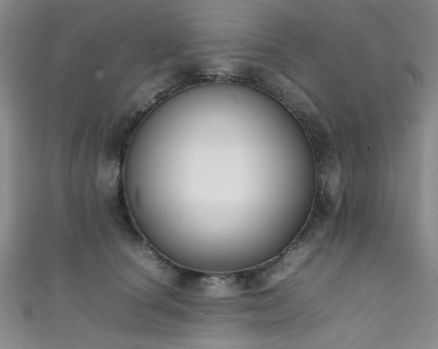 X0000111370660200907101212