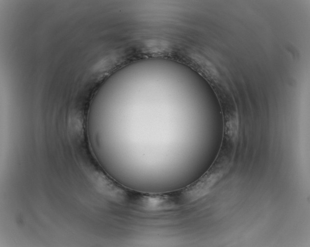 X0000111370662200907101212