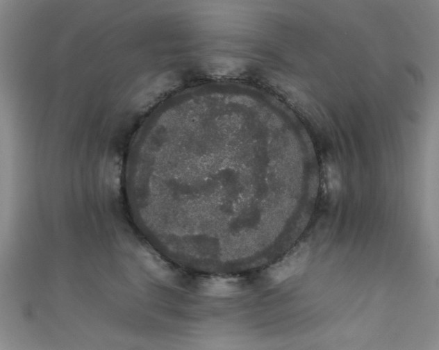 X0000111370664200907101212