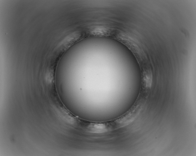 X0000111370665200907101212