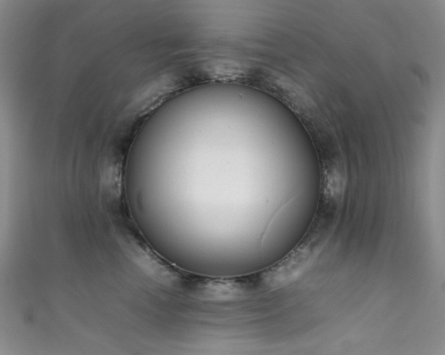 X0000111370666200907101212