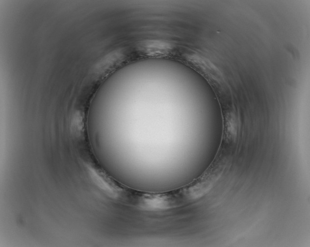 X0000111370667200907101212