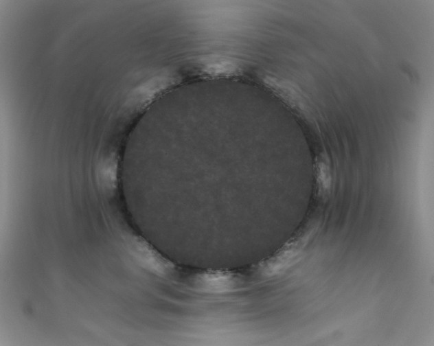 X0000111370668200907101212