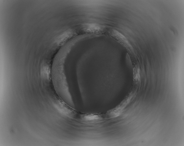 X0000111370669200907101212