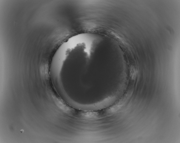 X0000111370670200907101212