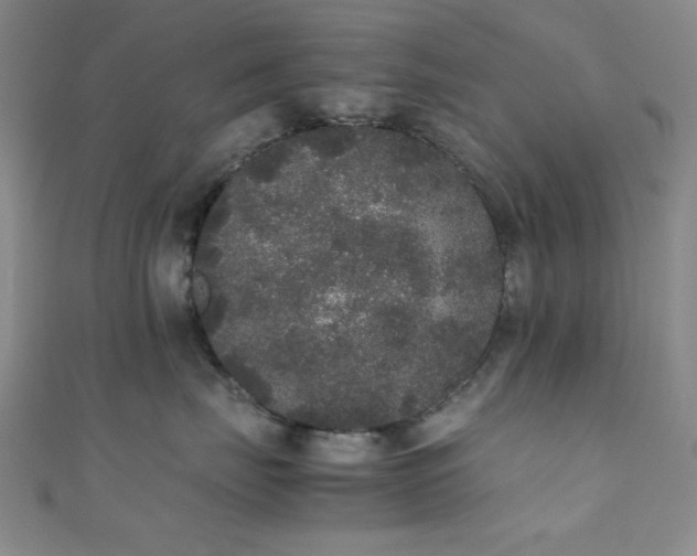 X0000111370671200907101212