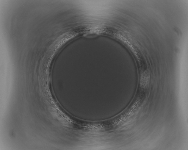 X0000111370673200907101212