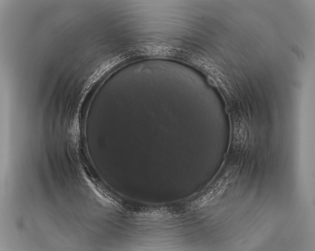 X0000111370674200907101212