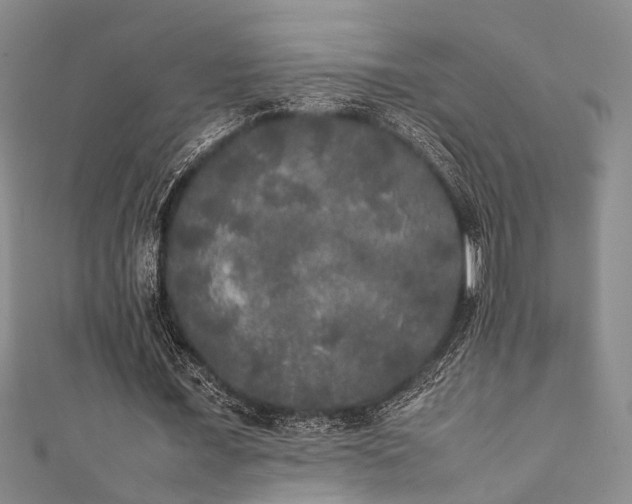 X0000111370675200907101212