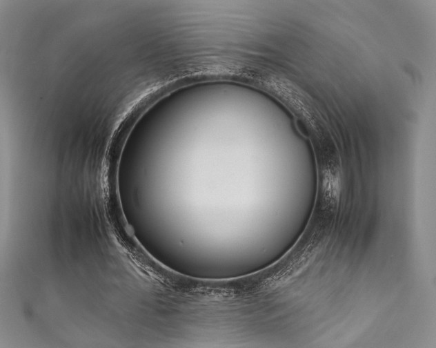 X0000111370676200907101212