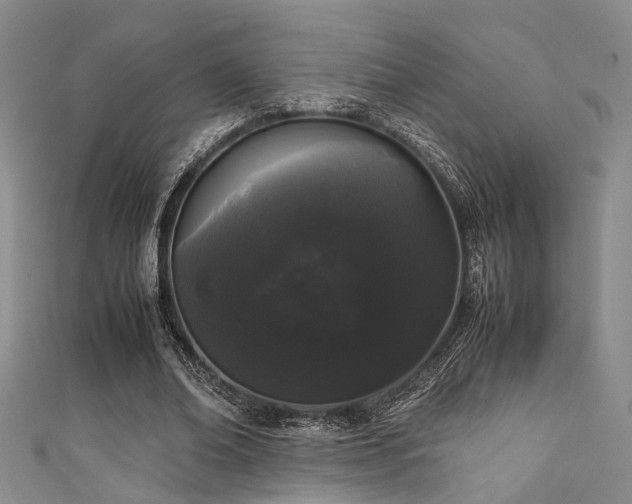 X0000111370678200907101212