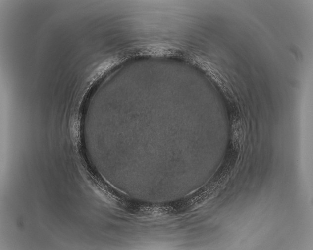 X0000111370679200907101211
