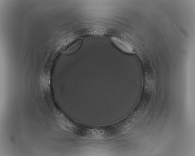 X0000111370681200907101211