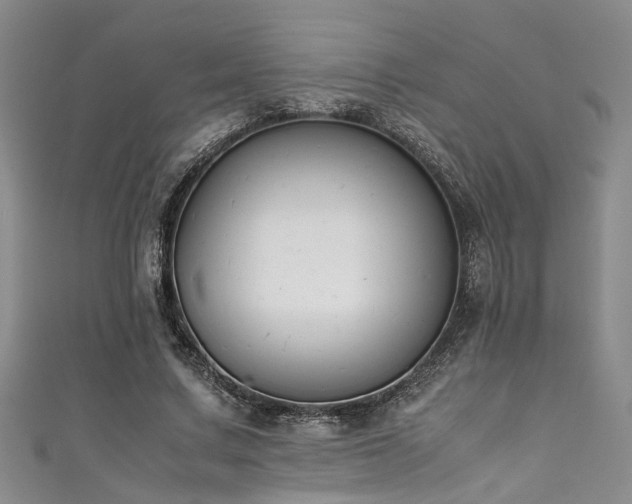 X0000111370683200907101211